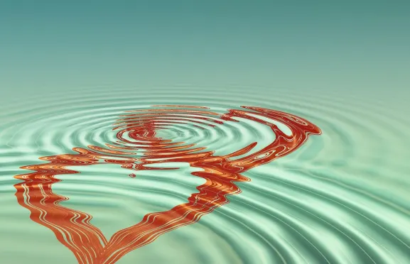 Lottofy Casino Ondersteuning